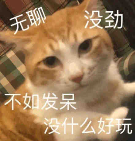 表情包