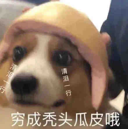 表情包