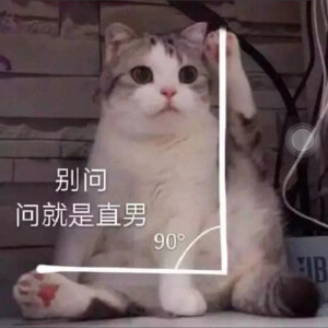 可爱猫咪表情包ｸﾞｯ!(๑•̀ㅂ•́)و✧