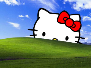 hello Kitty壁纸
侵权删