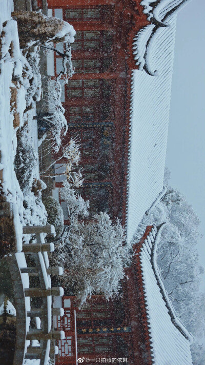 白雪却嫌春色晚，故穿庭树作飞花。
2022.2.7拍摄于东湖梅园
摄影@一只拍照的依琳
#武汉被暴雪刷白了##武汉下雪# ​​​