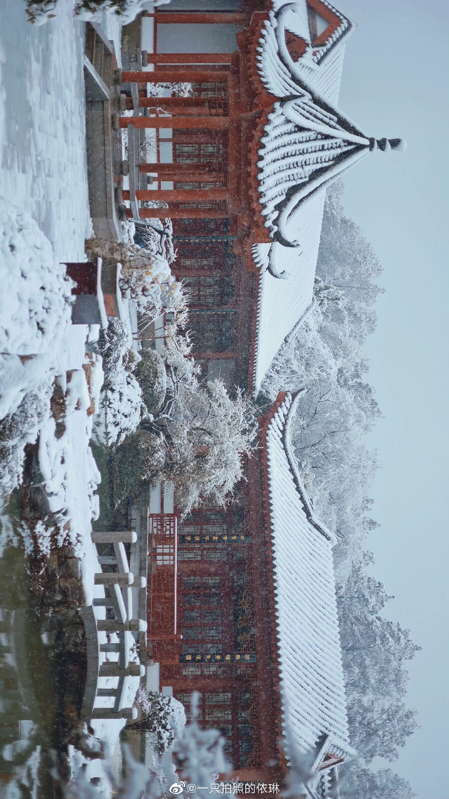 白雪却嫌春色晚，故穿庭树作飞花。
2022.2.7拍摄于东湖梅园
摄影@一只拍照的依琳
#武汉被暴雪刷白了##武汉下雪# ​​​