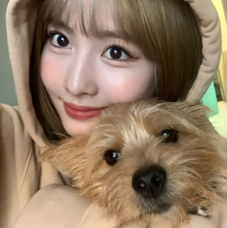 傍晚去太子湾吗