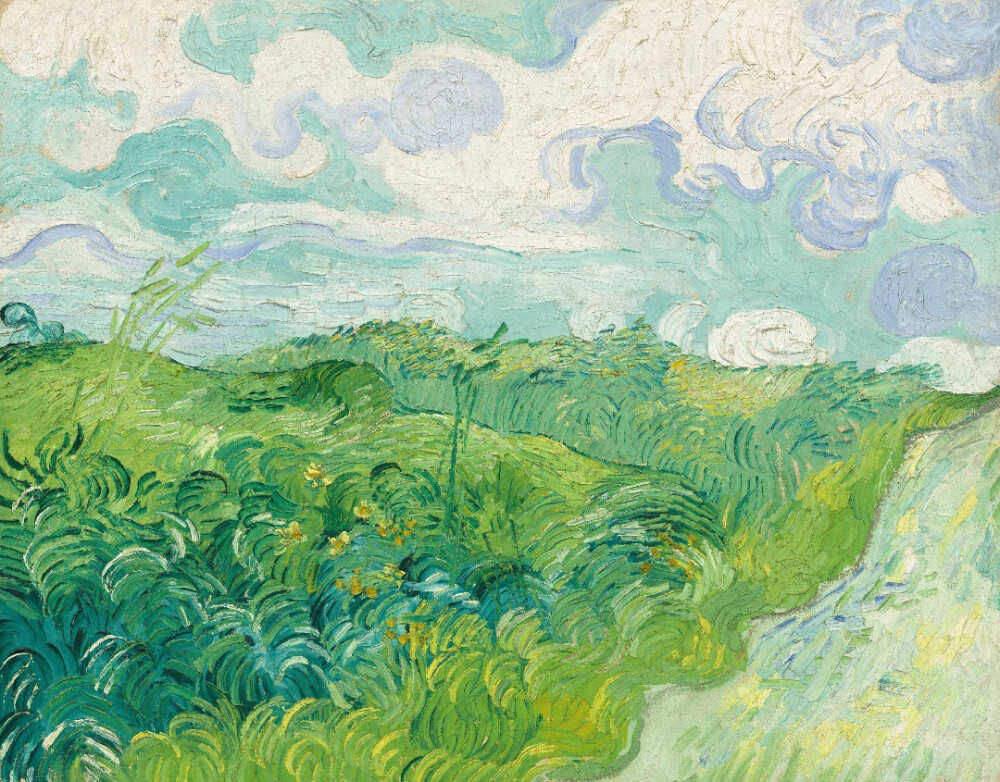 画家：文森特·威廉·梵高
《奥维的绿色麦田（Green Wheat Fields. Auvers）》