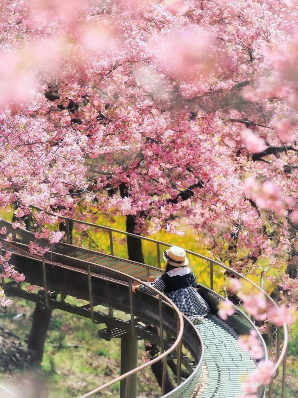 只有日本_西平畑公園