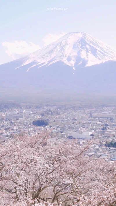 温柔治愈风景