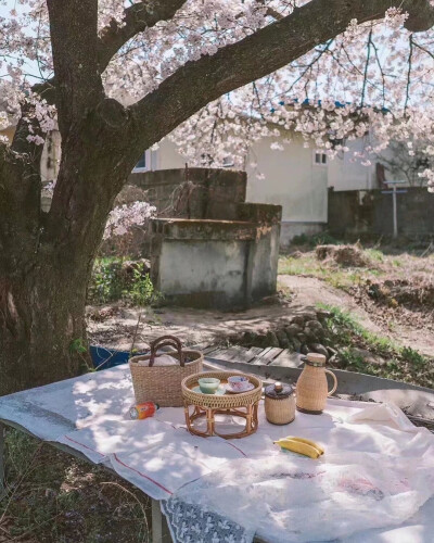 温柔治愈风景