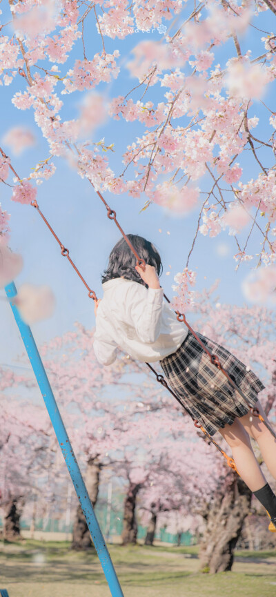 " 我在阳光下往返于春天"
「樱花.」 ​