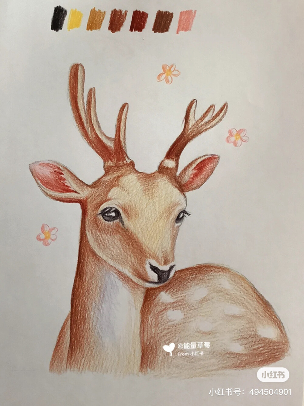 彩铅
