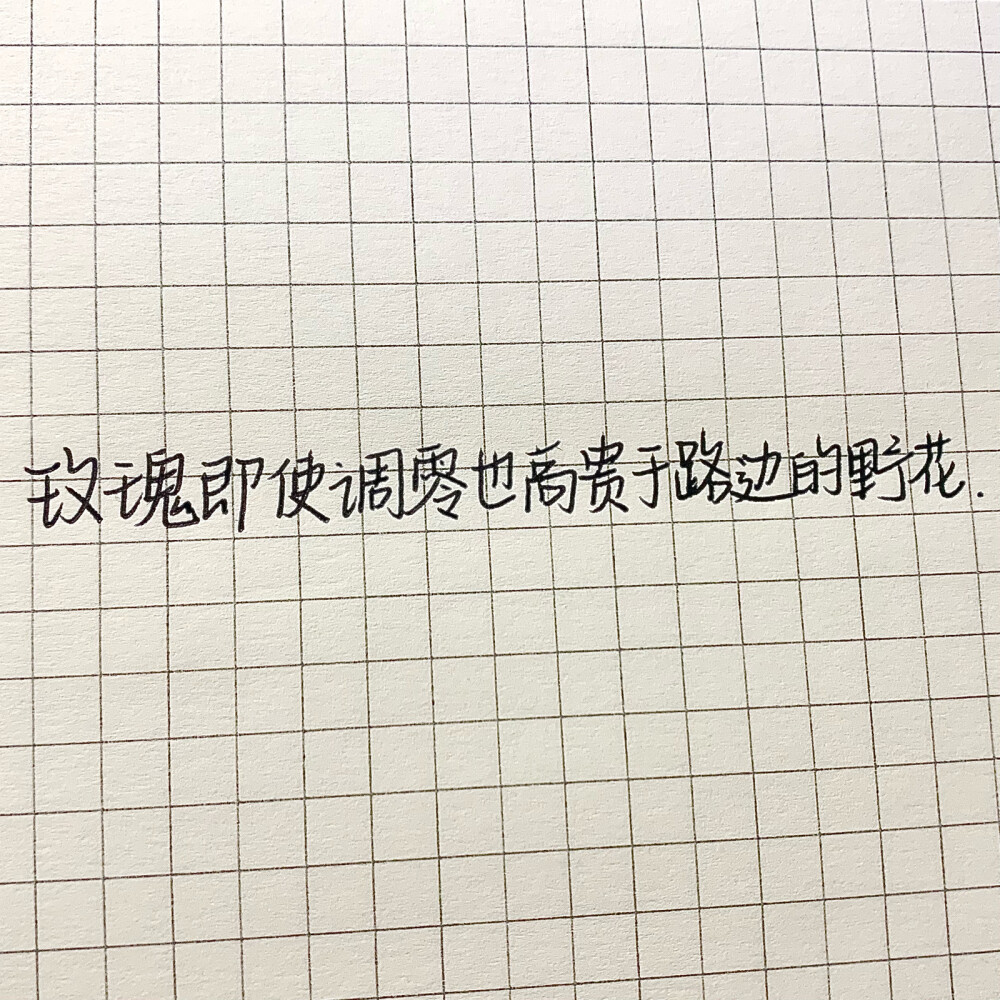 “阴暗的角落里也一定会有鲜花”