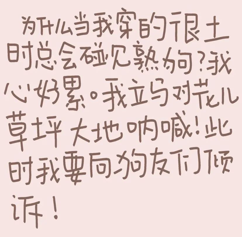 我爱你 多多来电