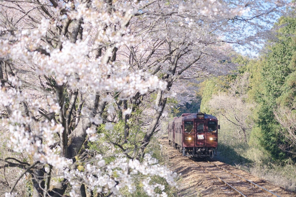 只有日本