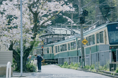 只有日本