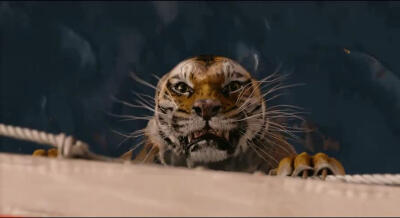 少年派的奇幻漂流