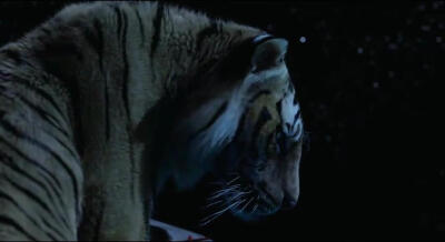 少年派的奇幻漂流