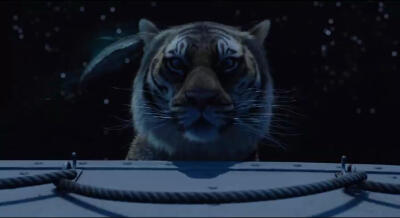 少年派的奇幻漂流