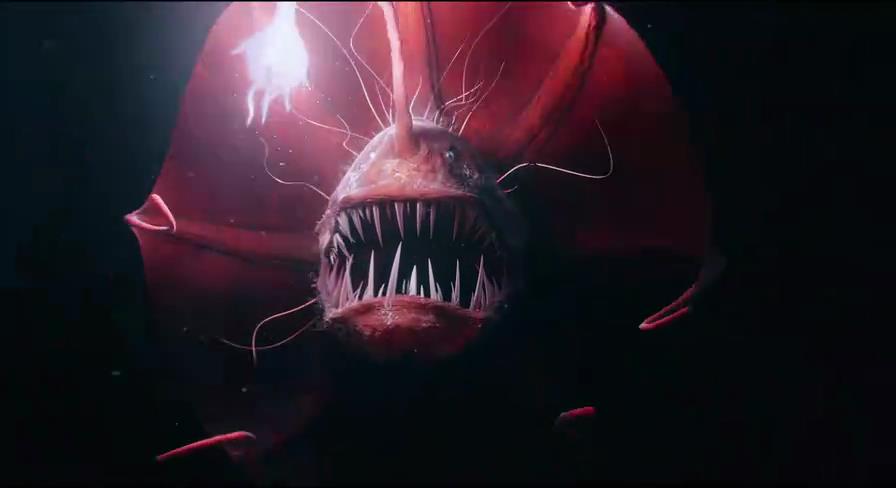 少年派的奇幻漂流