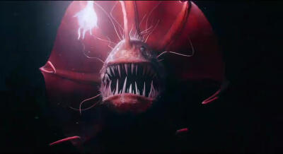 少年派的奇幻漂流