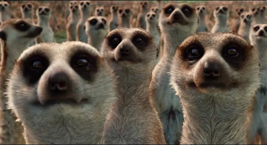 少年派的奇幻漂流