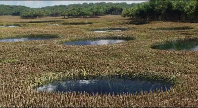 少年派的奇幻漂流