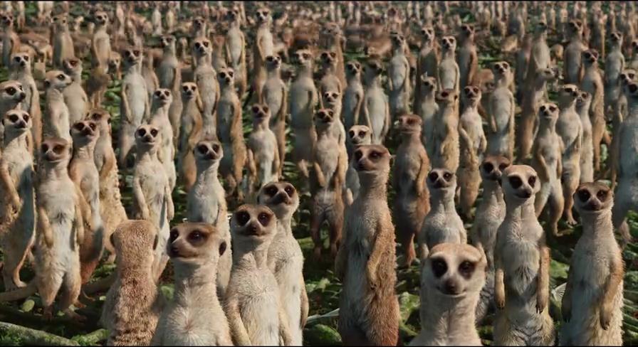 少年派的奇幻漂流