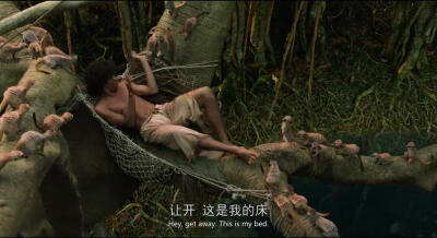 少年派的奇幻漂流