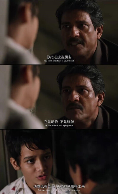 少年派的奇幻漂流