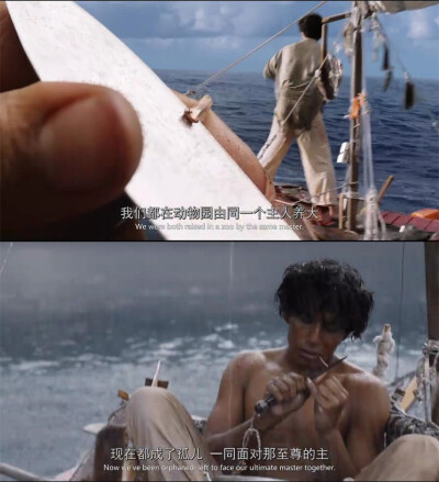 少年派的奇幻漂流