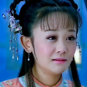 海陆《新还珠格格》饰演夏紫薇