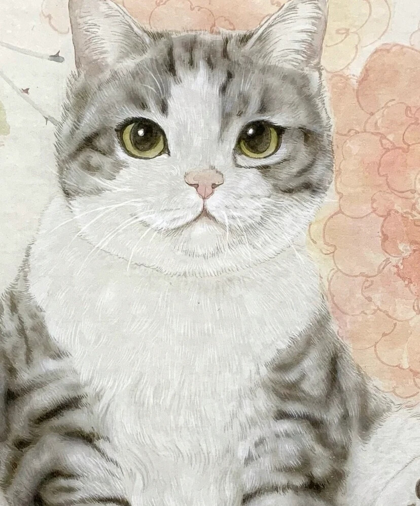 猫插画