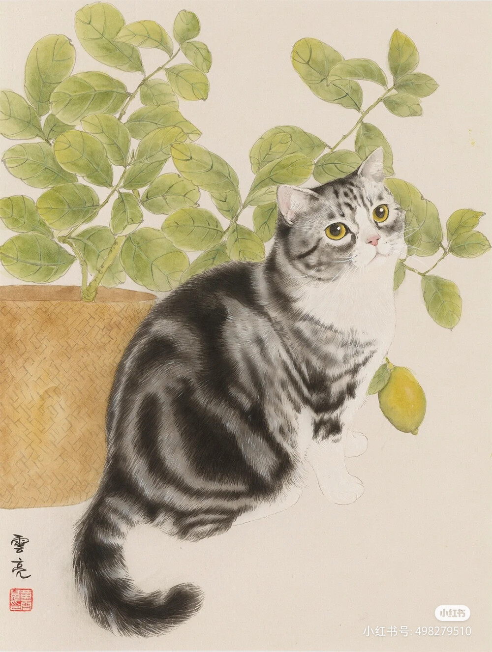 猫插画