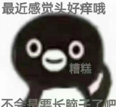 小企鹅表情包