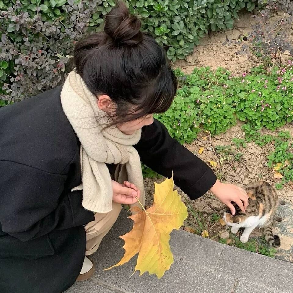 女生头像 抱猫