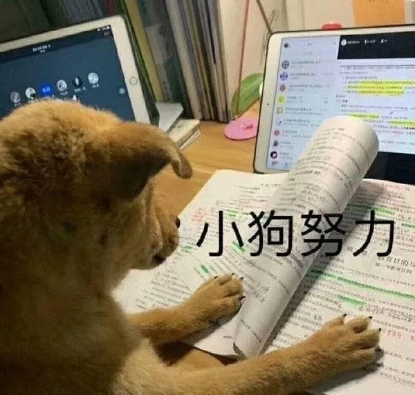 学习 搞怪头像