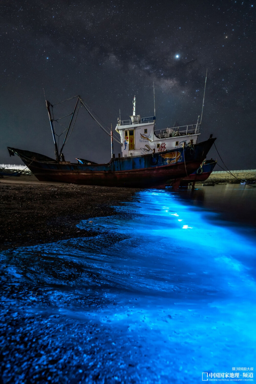 海洋 蓝眼泪