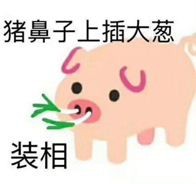 表情包