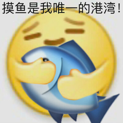 摸鱼表情包
来源：溺海选手