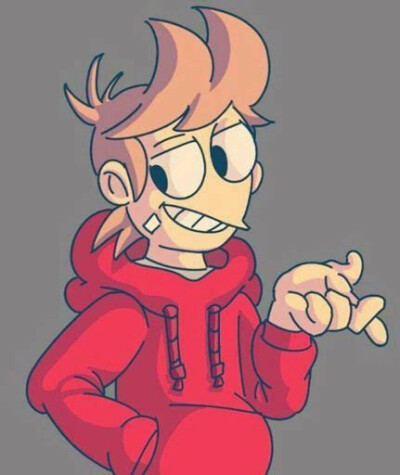 eddsworld角色单人照:Tord
素材来源于网络.侵删