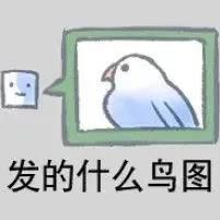 鹦鹉