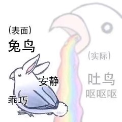 鹦鹉