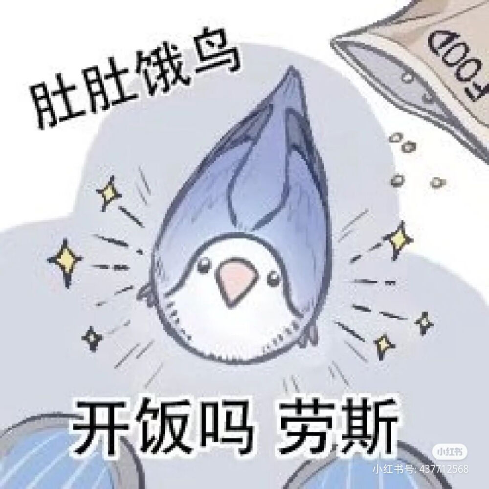 鹦鹉