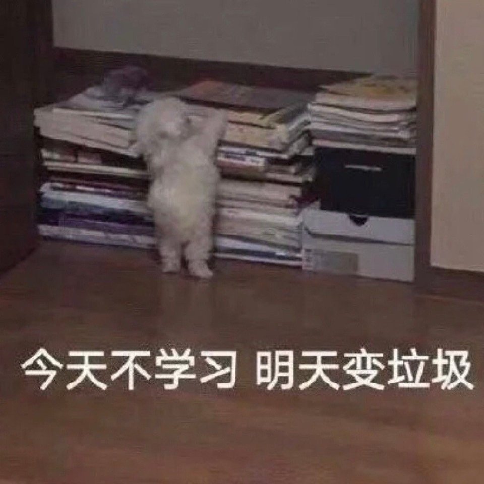 学习表情包