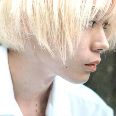 苏打菅田将晖手机壁纸头像