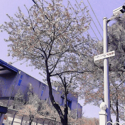 ：愛判眾生孤獨
［Love judges all living beings to be lonely.］