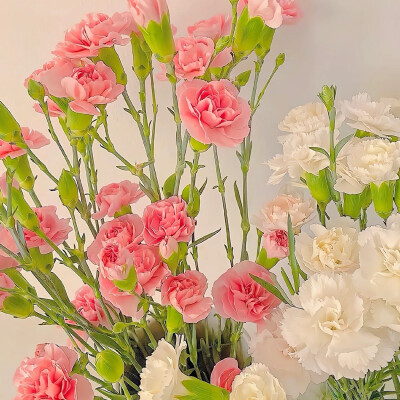 下次再遇见，记得带束花。
