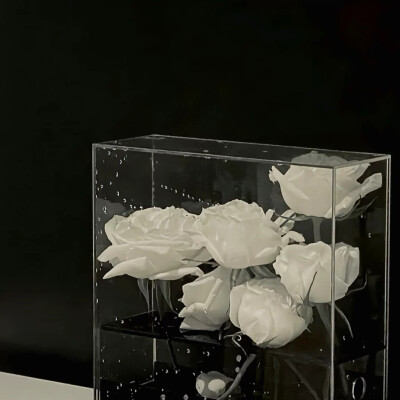 下次再遇见，记得带束花。
