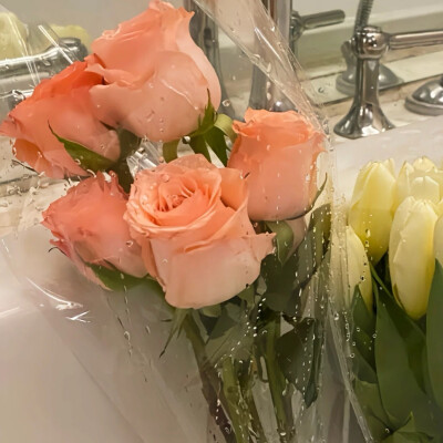 下次再遇见，记得带束花。
