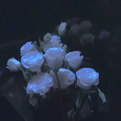 下次再遇见，记得带束花。
