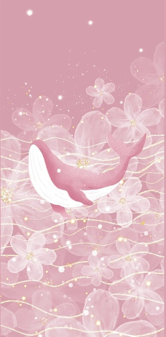 美