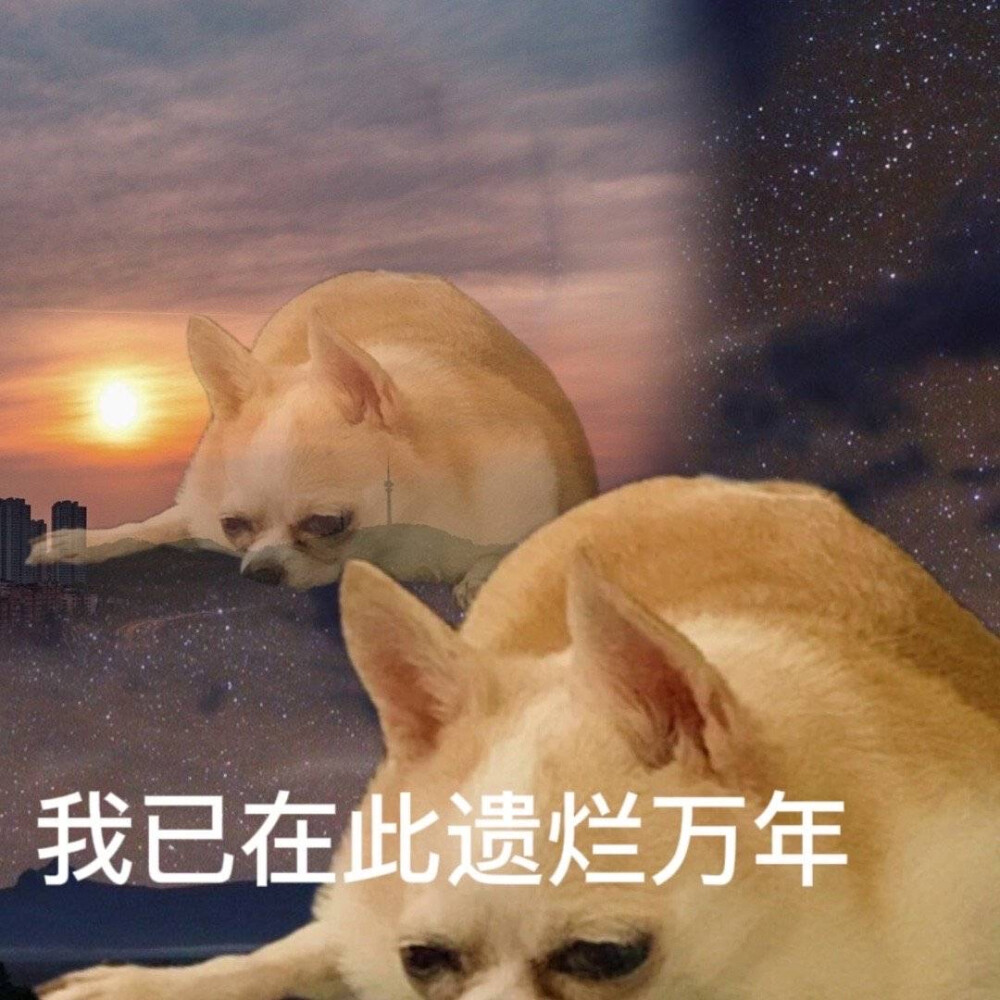 转微博